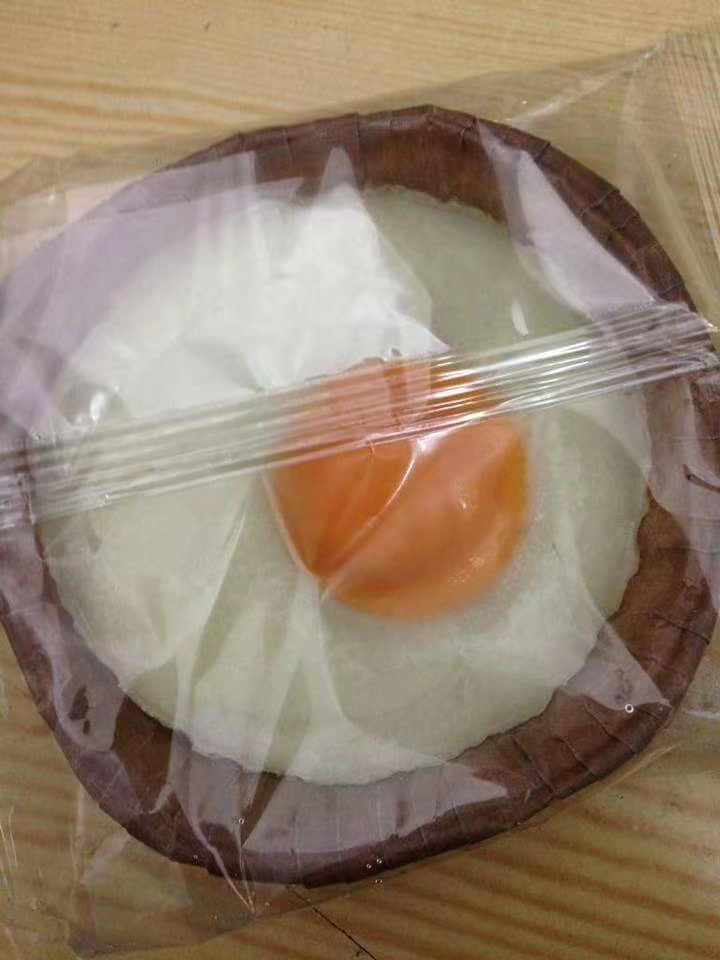 freeze dryer egg