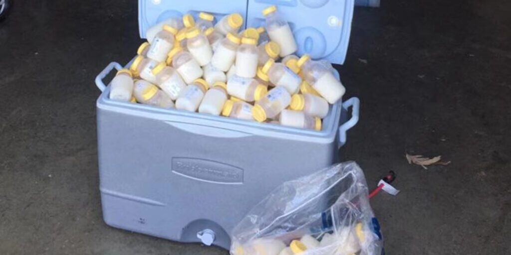 Freeze Dry Breast Milk
