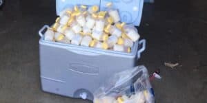 Freeze Dry Breast Milk