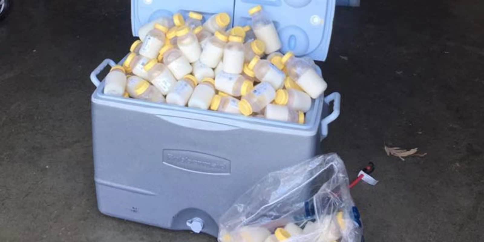Freeze Dry Breast Milk